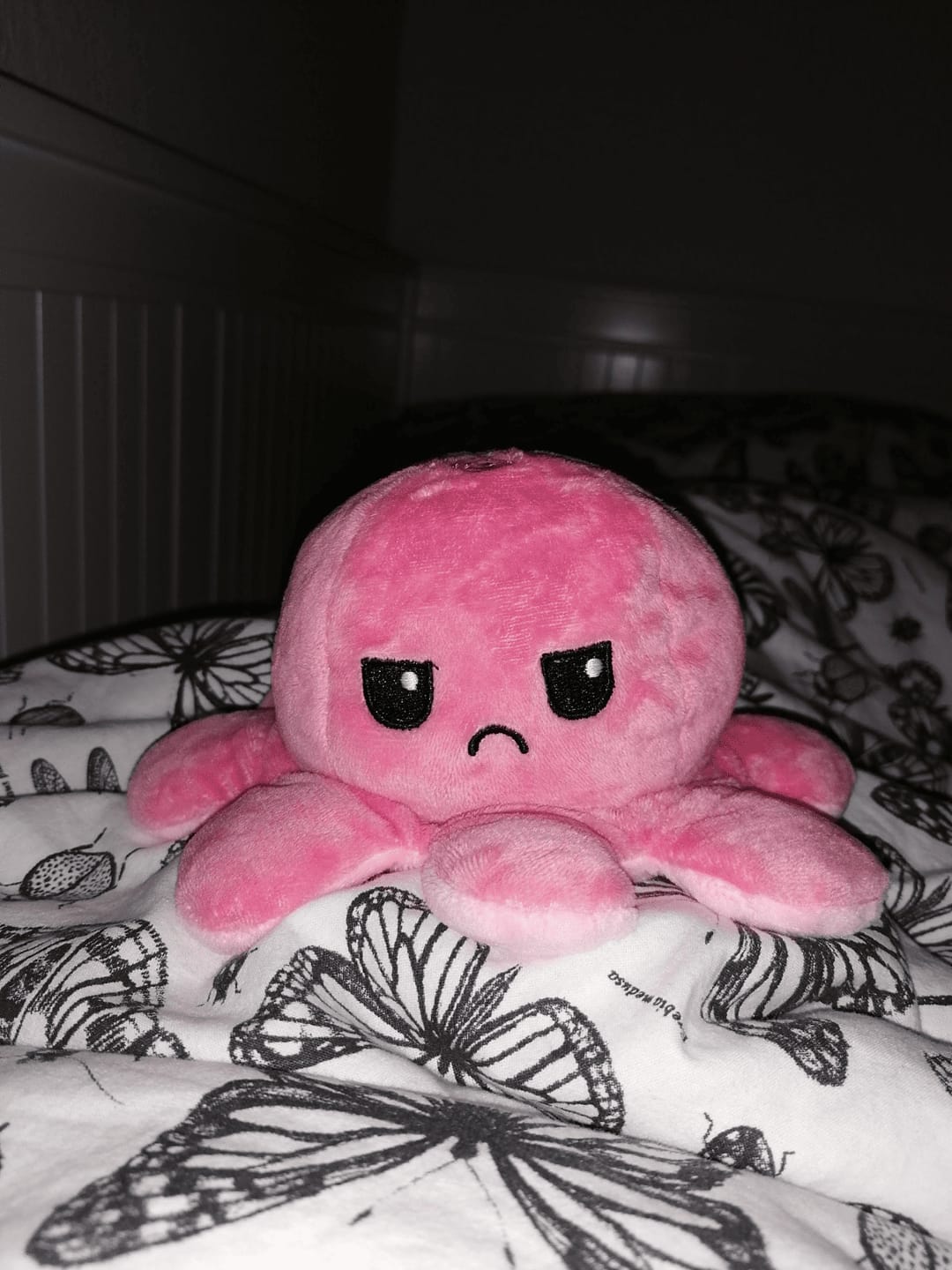 Customer photo review of Octoplushie
