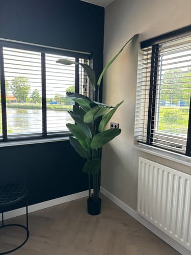 Customer photo review of Strelitzia Kunstplant 210cm