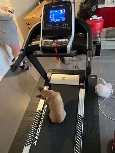 Customer photo review of BODYWORX CHALLENGER 300 TREADMILL