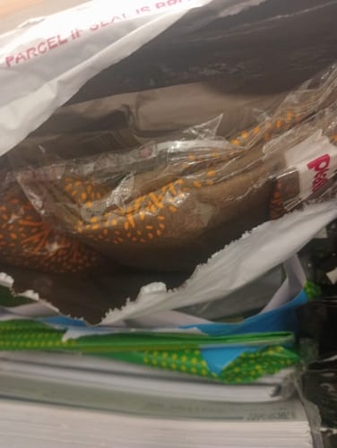 Customer photo review of Grey Printed Cotton Dress Material