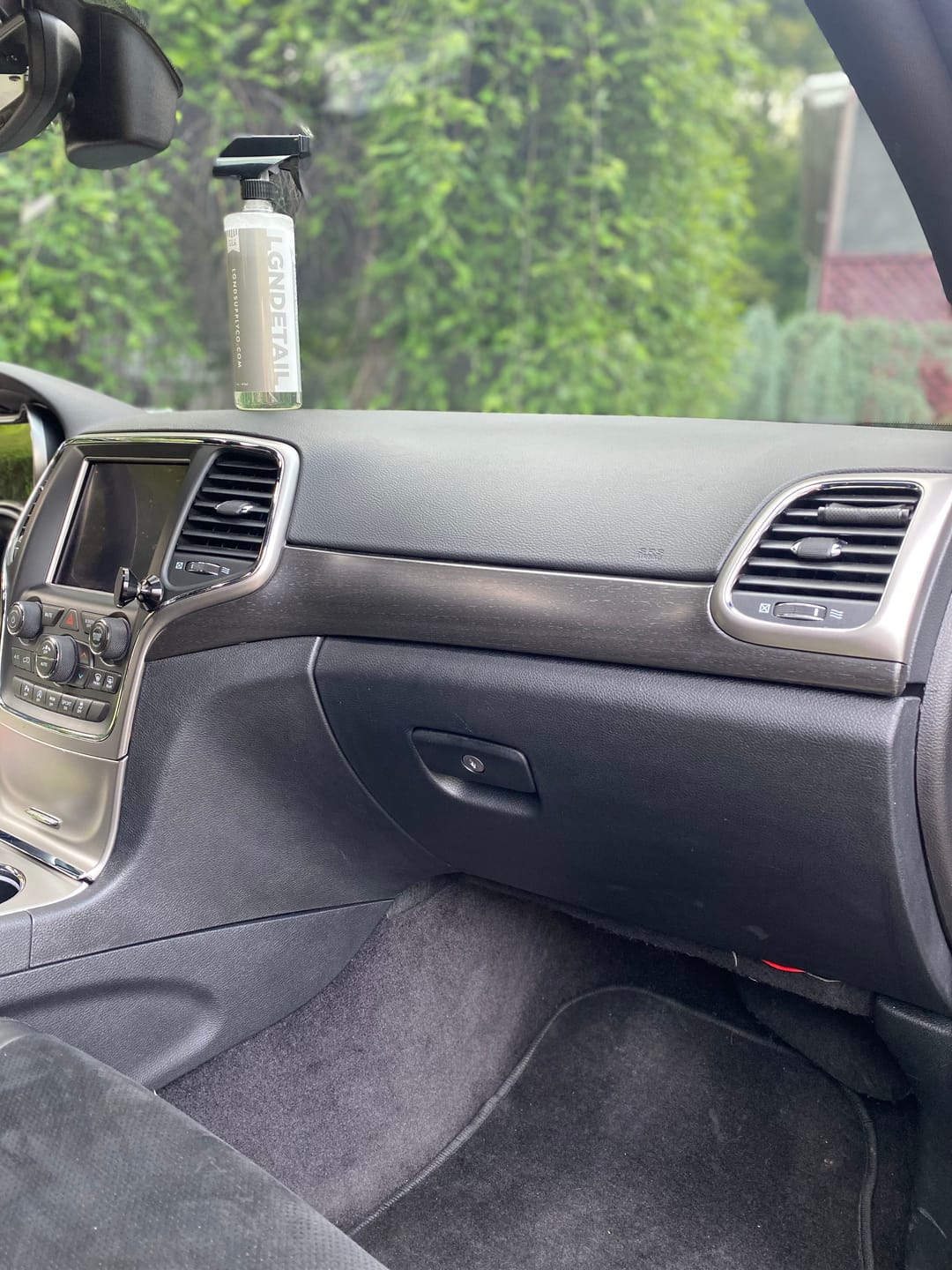 Customer photo review of Interior Renew & Protect