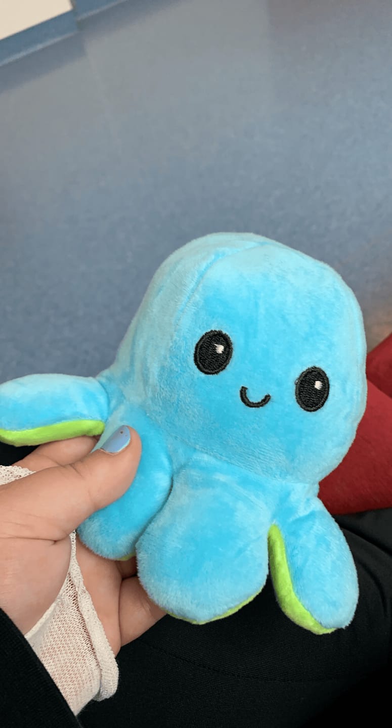 Customer photo review of Octoplushie