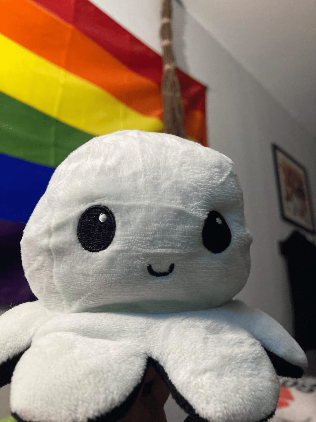 Customer photo review of Octoplushie