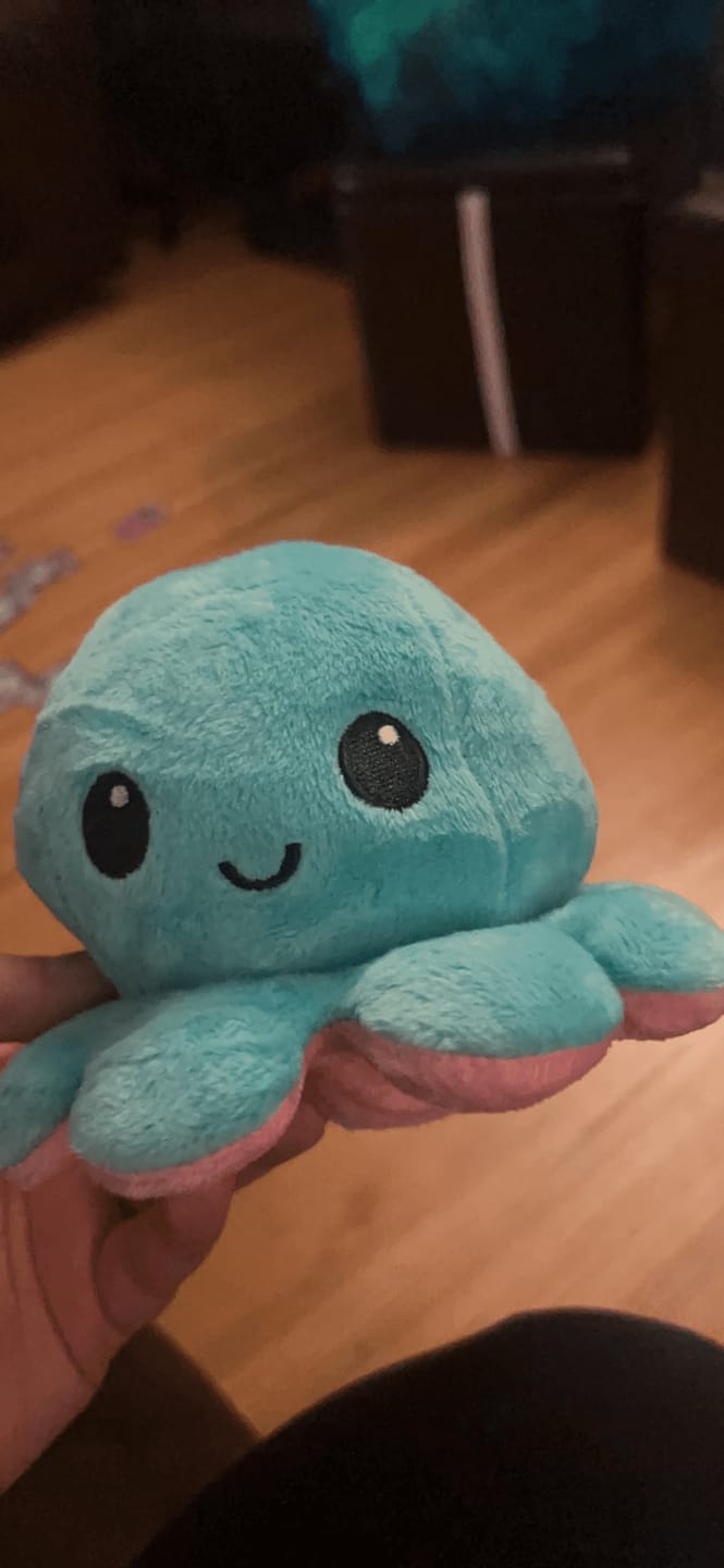 Customer photo review of Octoplushie