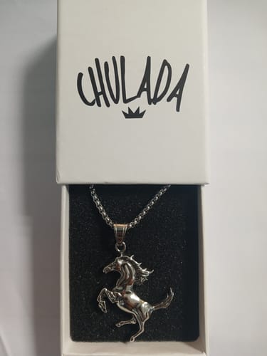 Customer photo review of Collar Mustang - Acero Inox.