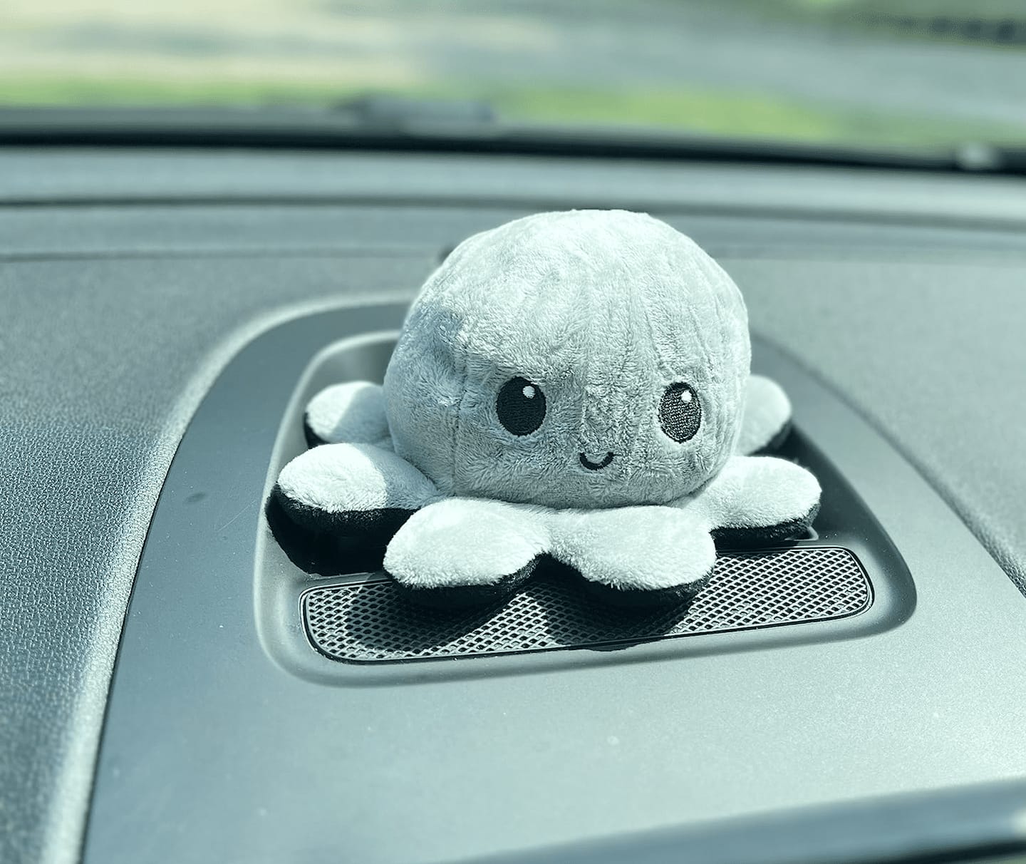 Customer photo review of Octoplushie