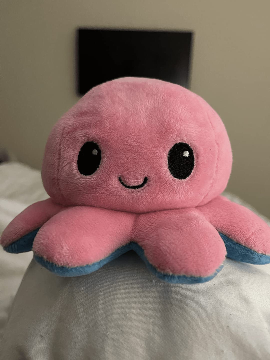Customer photo review of Octoplushie