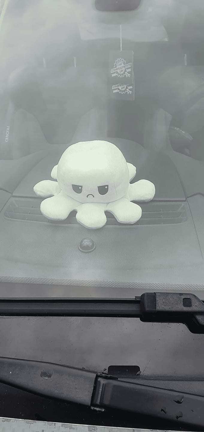 Customer photo review of Octoplushie