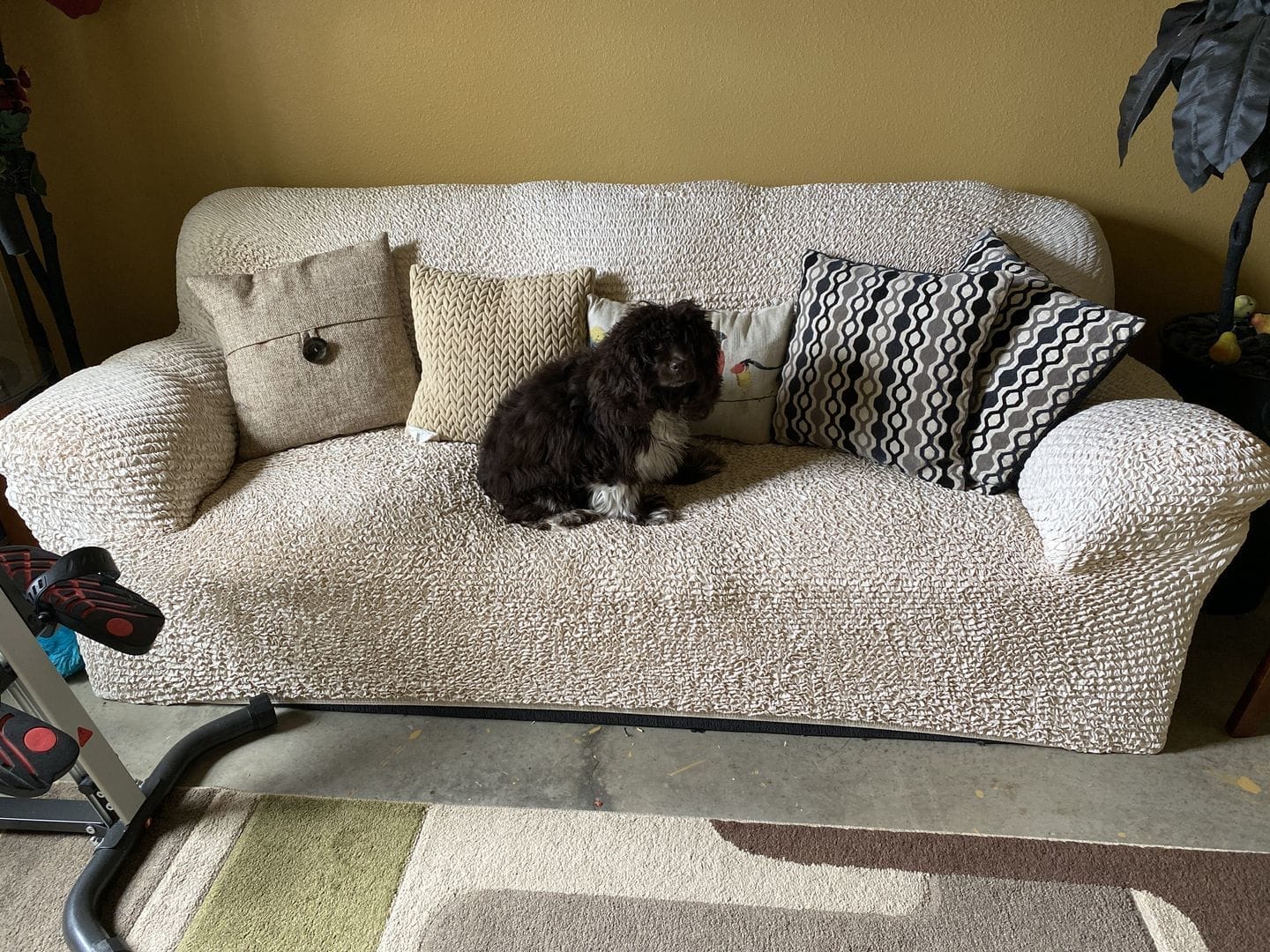 Customer photo review of 2 Seater Sofa Cover - Beige, Microfibra