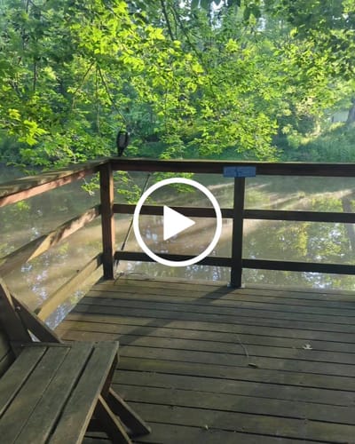 Customer video review of Monsoon Cup