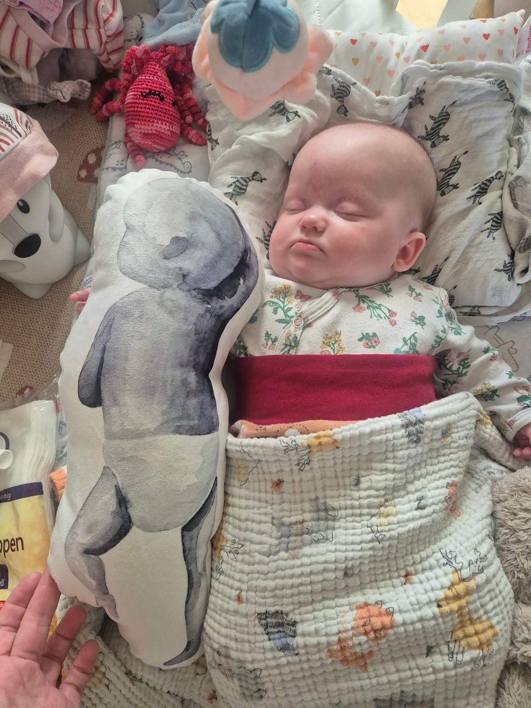 Customer photo review of BABYKISSEN WATERCOLOR TWO