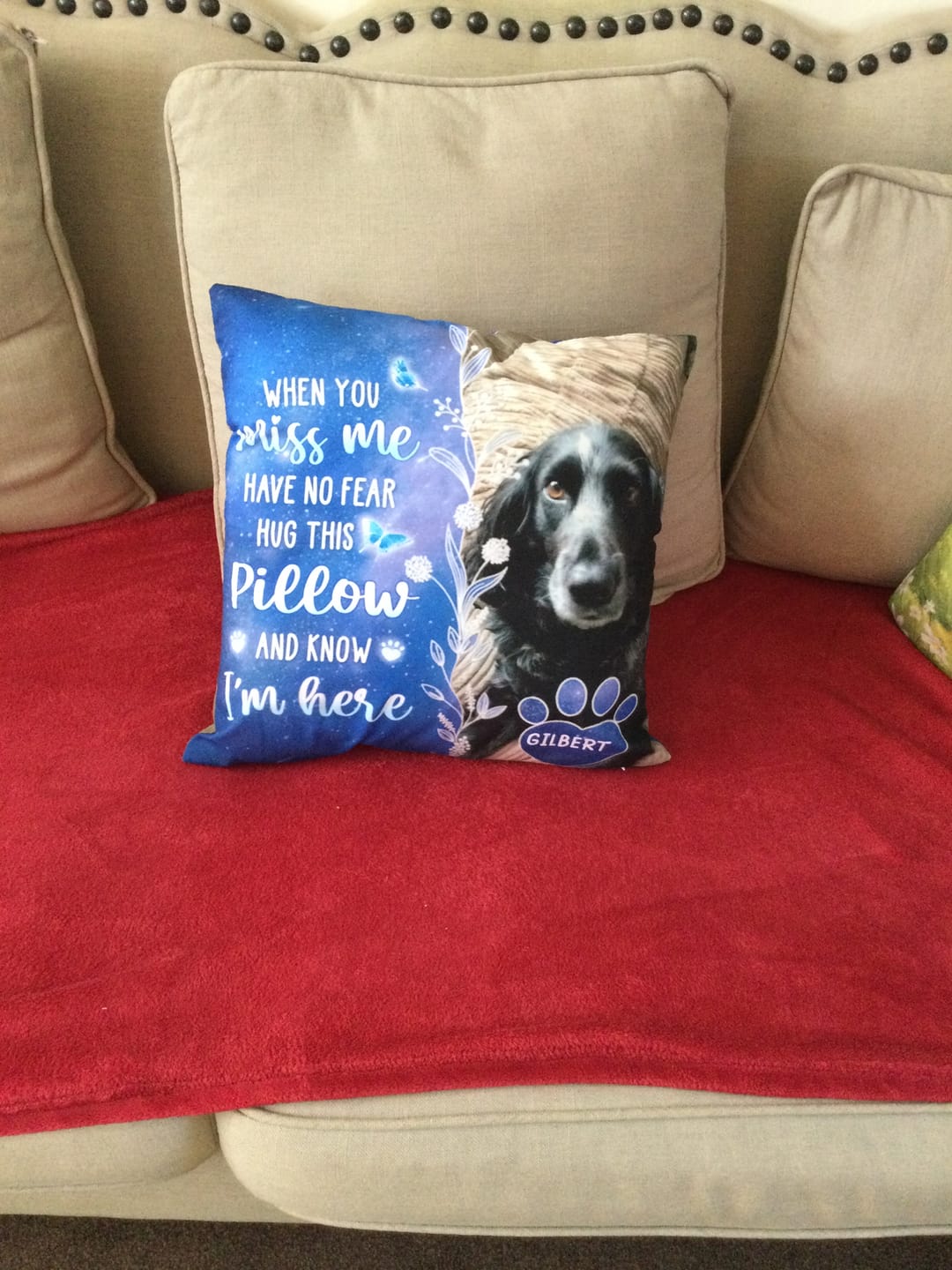 Customer photo review of Custom Photo My Love For You Is Always Here - Memorial Personalized Custom Pillow - Sympathy Gift, Gift For Pet Owners, Pet Lovers