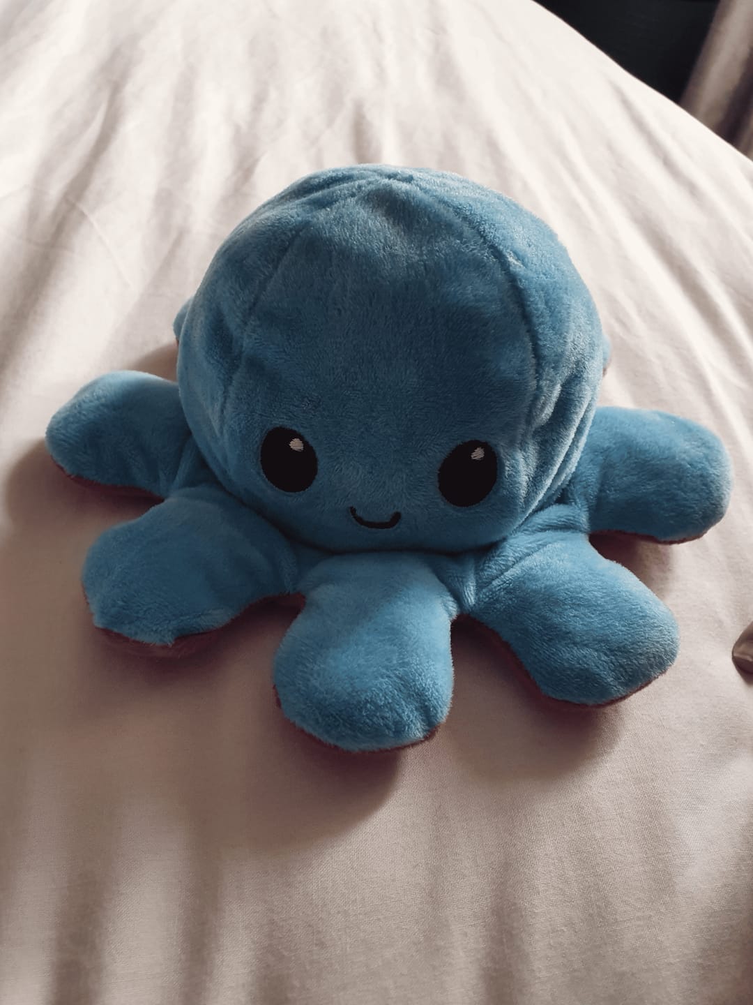 Customer photo review of Octoplushie