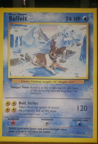 Customer photo review of Product options