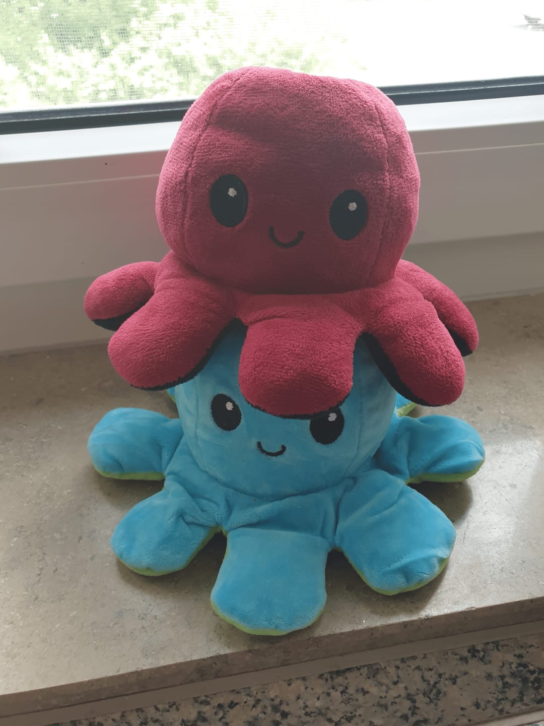 Customer photo review of Octoplushie