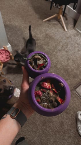 Customer photo review of Freezball - Durable Fillable Dog Chew Bone