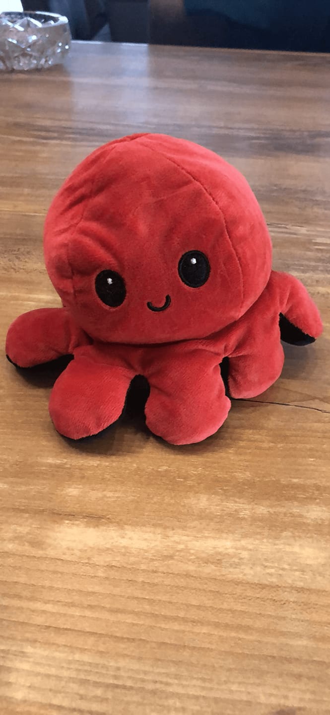 Customer photo review of Octoplushie