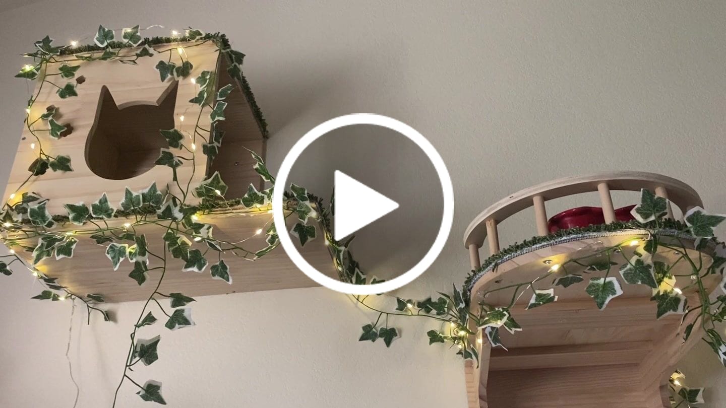 Customer video review of 33 FT | 100 Warm White LED Waterproof Micro Fairy String Lights with AC Plug-In Power