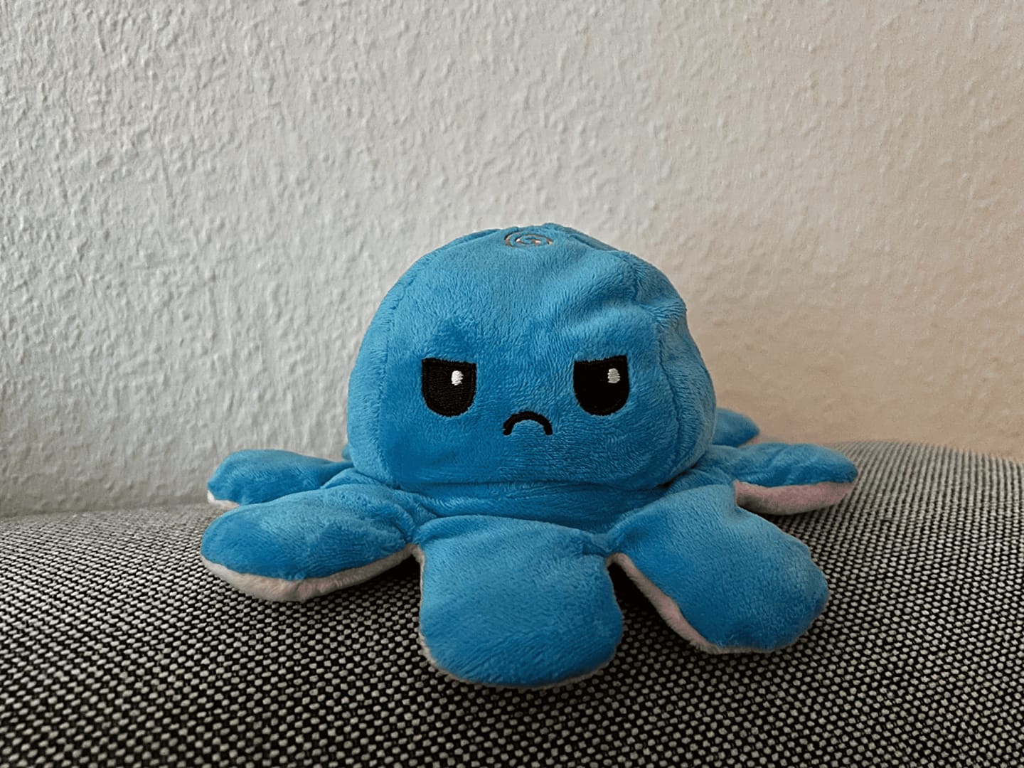 Customer photo review of Octoplushie