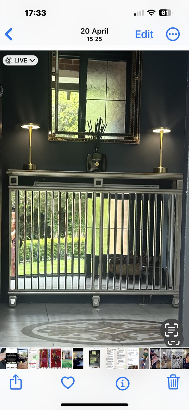 Customer photo review of Ambient™ Metallic Cordless Table Lamp