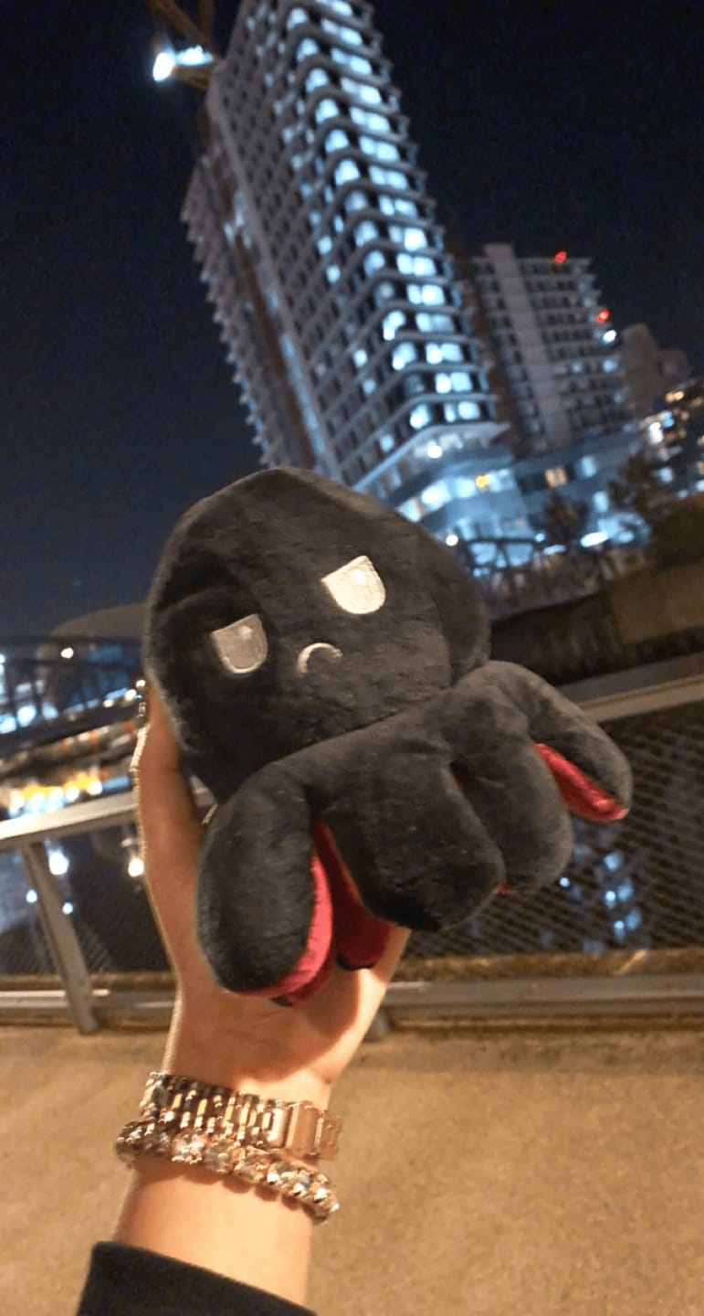 Customer photo review of Octoplushie