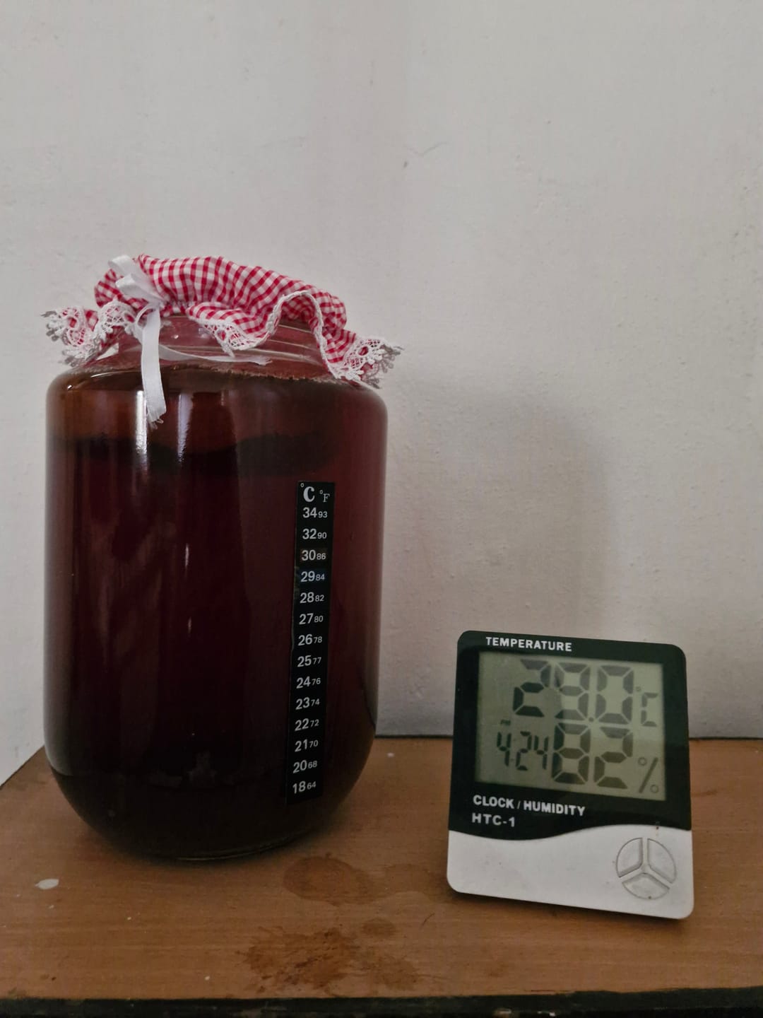 Customer photo review of Vegan Kombucha Sampler Pack: Discover 9 Probiotic Flavors | Zoh Probiotics