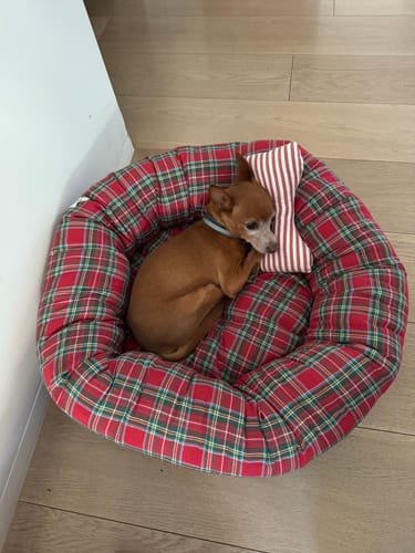 Customer photo review of Cuccia Tonda Cotone Scozzese Rosso