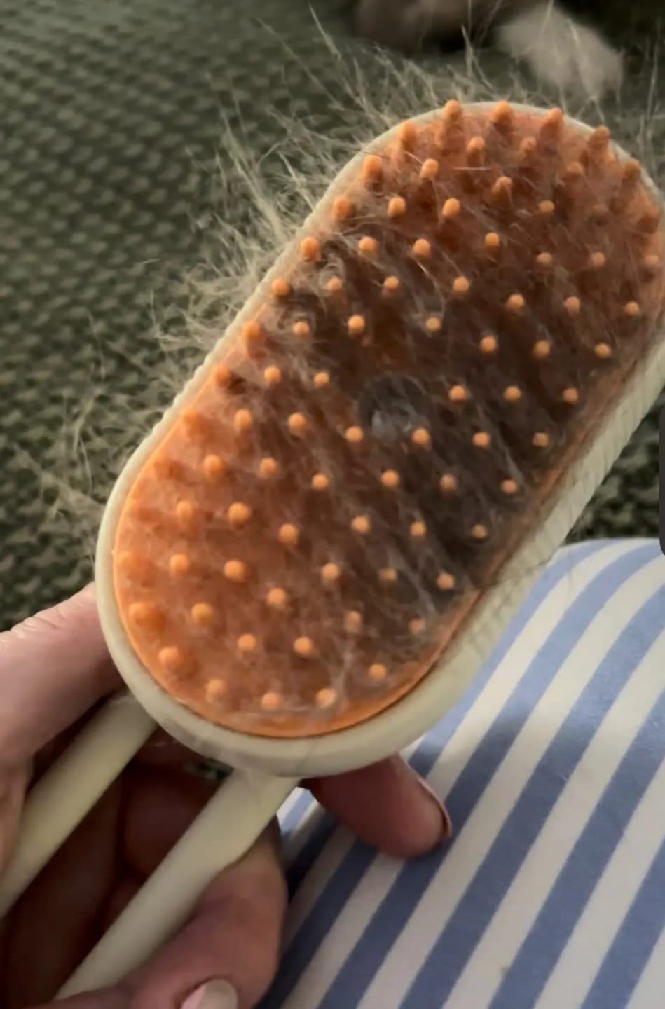 Customer photo review of CLOUD CARE BRUSH