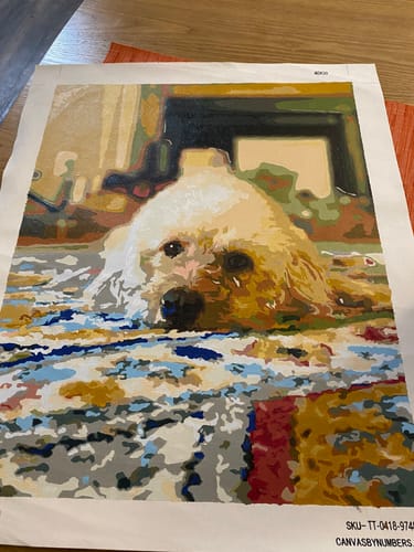 Customer photo review of Custom Paint by Numbers Kit for Personalized Artwork