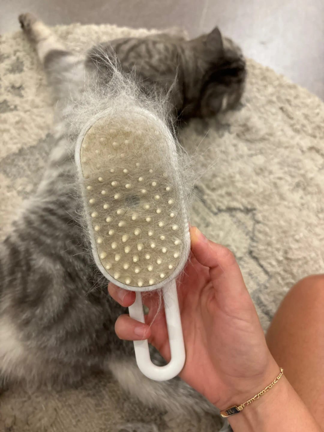 Customer photo review of CLOUD CARE BRUSH