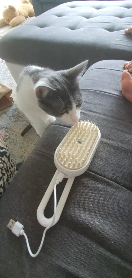 Customer photo review of CLOUD CARE BRUSH