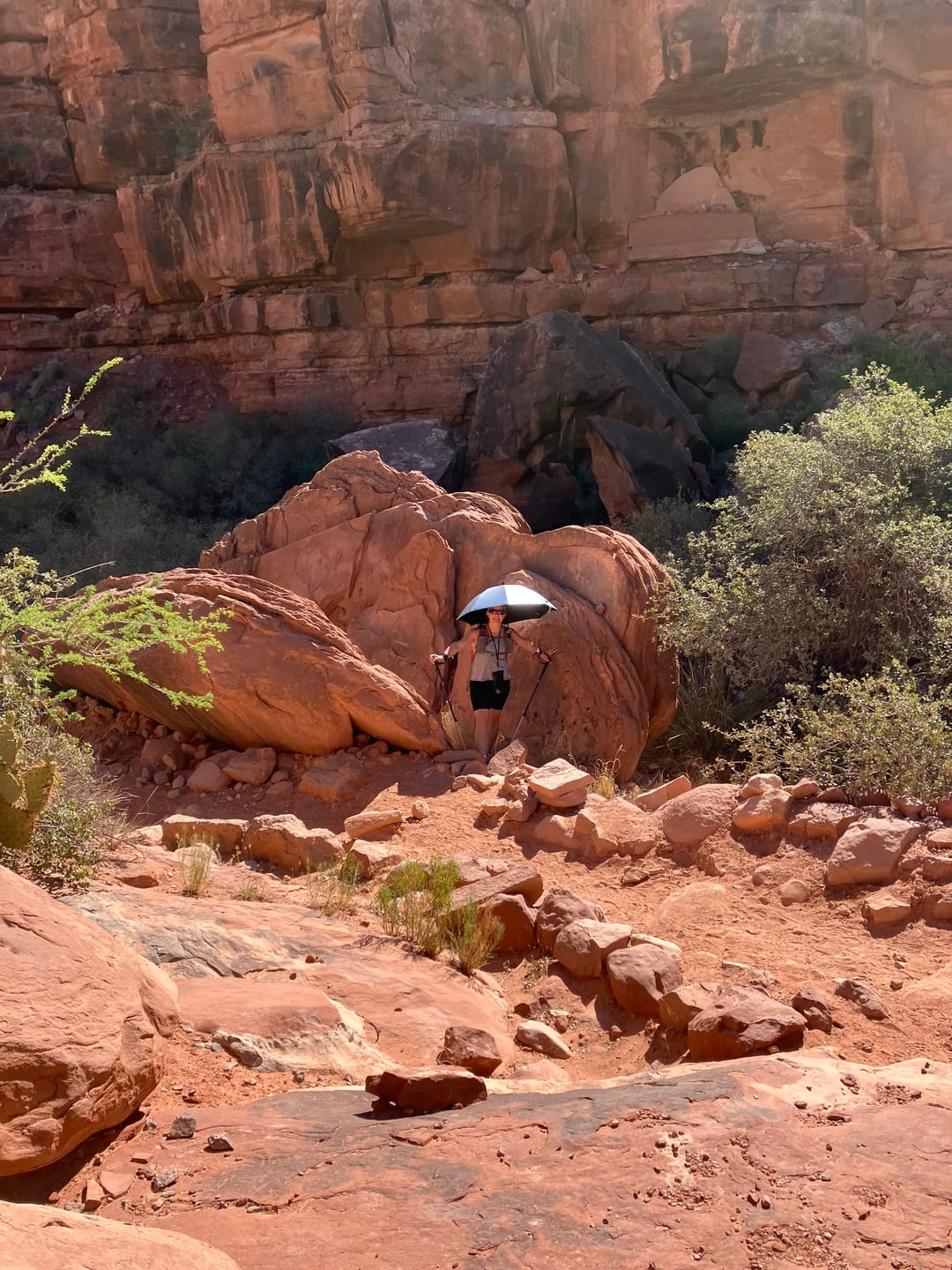 Customer photo review of Lightrek Hiking (Chrome) Umbrella