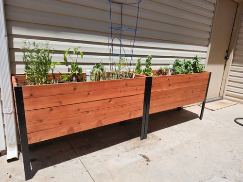 Customer photo review of 18" x 48" Raised Garden Bed