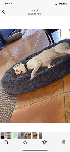 undefined review of Puppery Hundebett Wolke 7 - Das Original image 1 out of 2