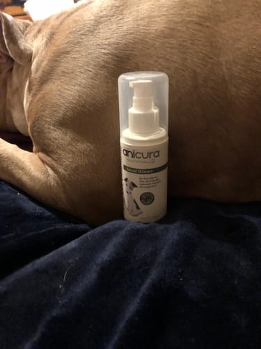 Customer photo review of Dog Duo Pack
