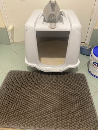 Customer photo review of 3 Month Supply - 1 Cat