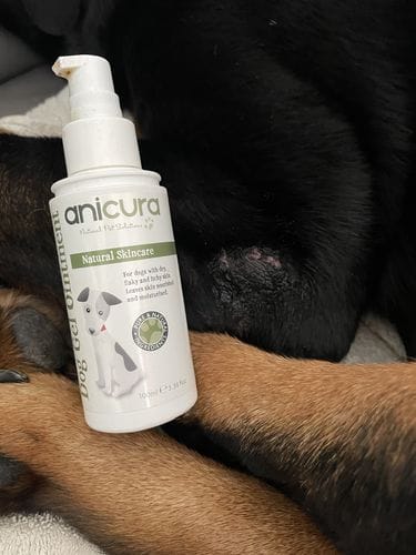 Customer photo review of Dog Gel