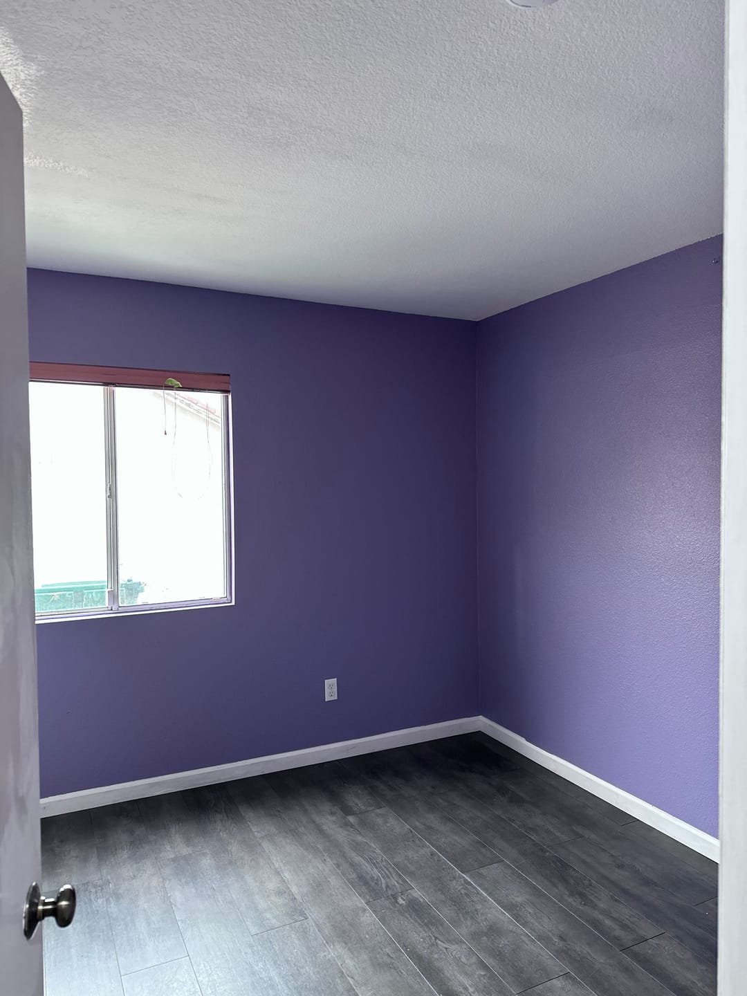 Customer photo review of C2200 - Studio Interior Eggshell