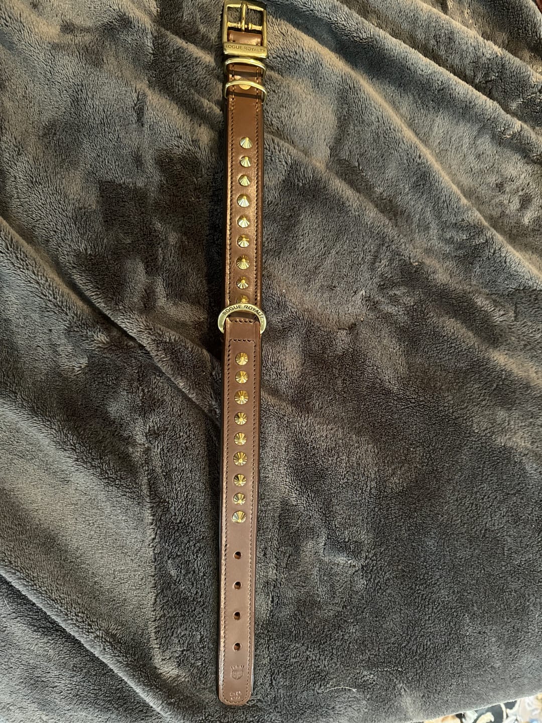 Customer photo review of Hand Made Leather Dog Collar - RuffNeck Brown & Brass (Wide Fit)
