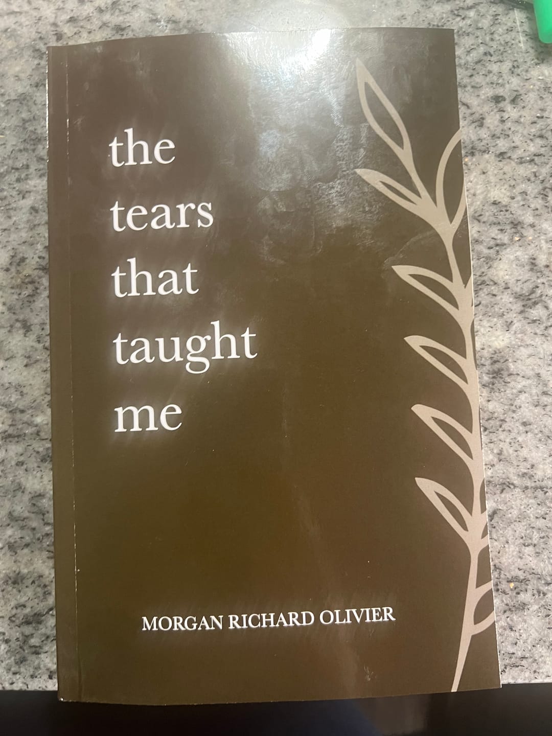 Customer photo review of The Tears That Taught Me (Paperback)