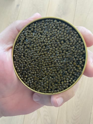 Customer photo review of “Imperial River Beluga” Golden Kaluga Sturgeon Caviar