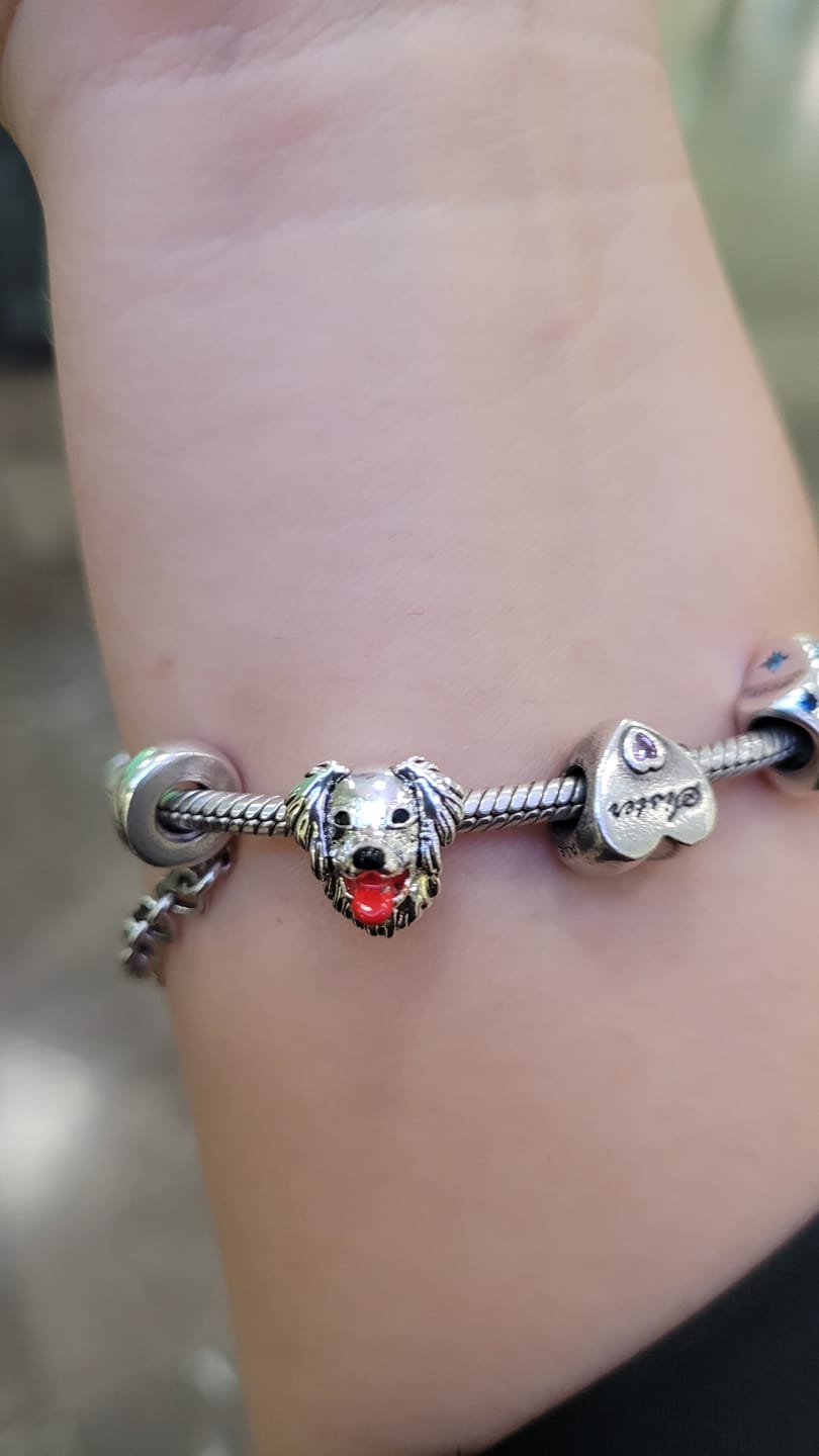 Customer photo review of Charm Perrito Labrador