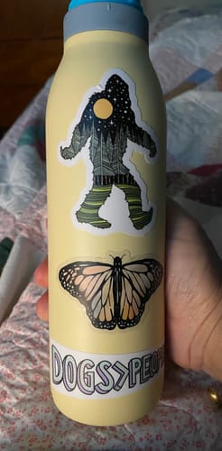 Customer photo review of Aesthetic Butterfly Clear Sticker