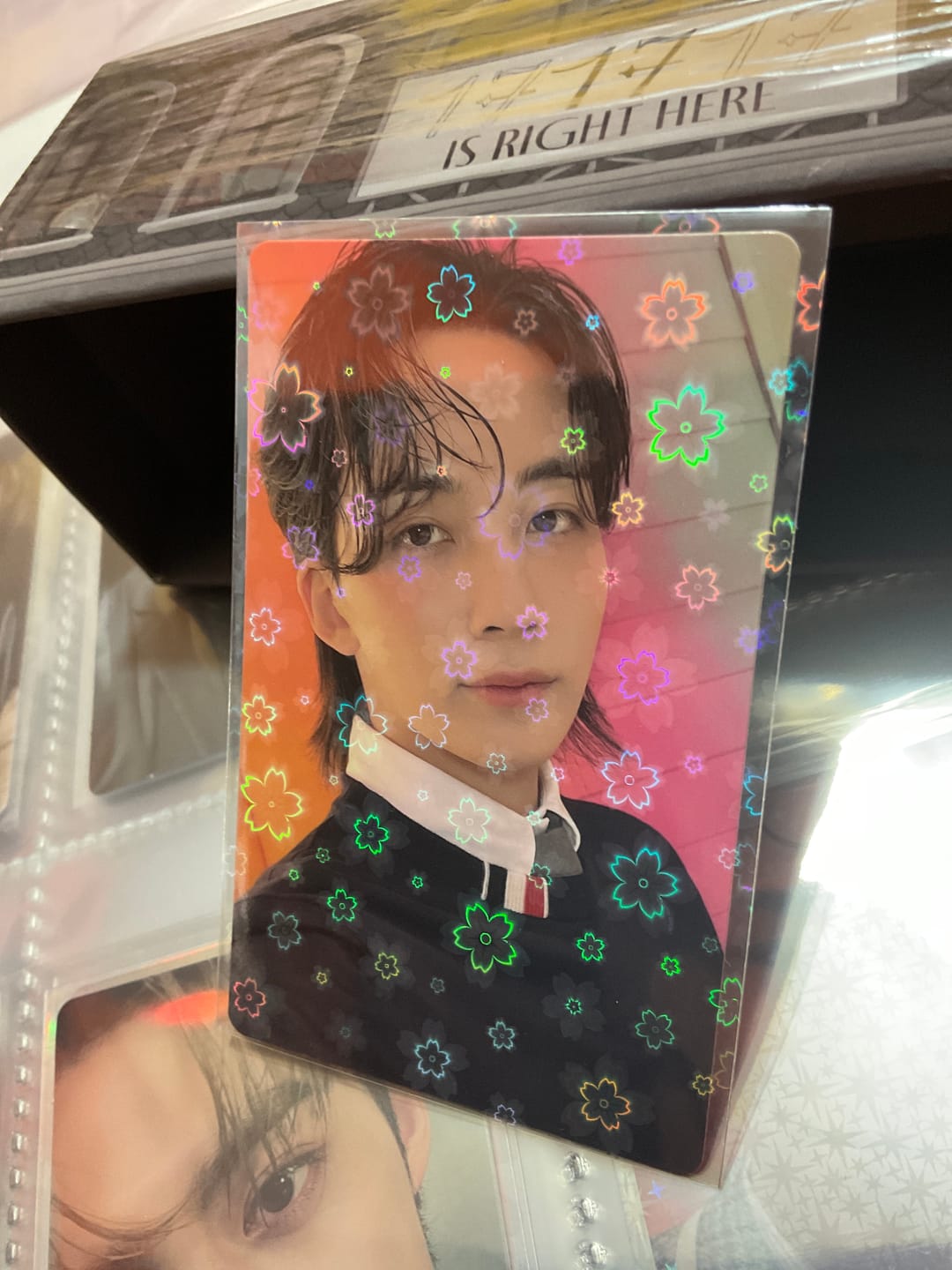 Customer photo review of PREMIUM HOLOGRAPHIC PHOTOCARD SLEEVES - SAKURA VERSION
