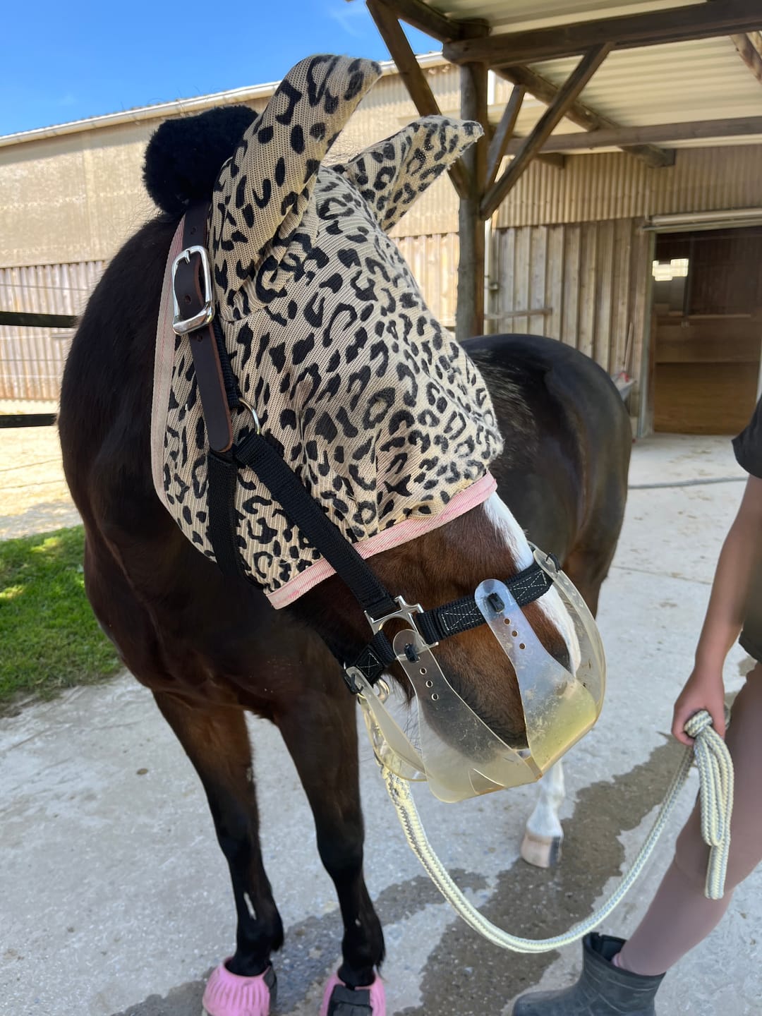 Customer photo review of ThinLine Flexible Fressbremse