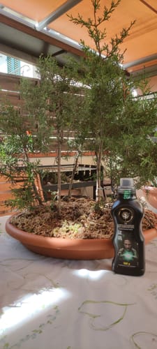 Customer photo review of METAMORFOSI CB® (trasformazione estiva)