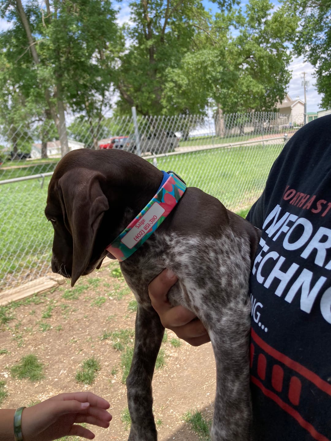 Customer photo review of Aloha Dog Collar