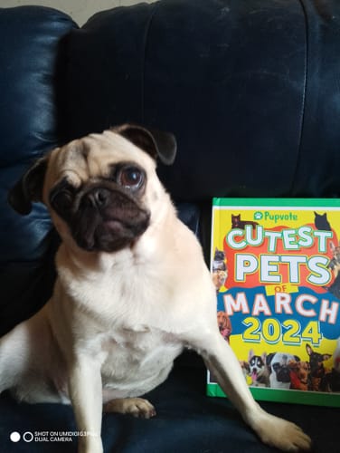 Customer photo review of Cutest Pets of the Month 2024 Photobook