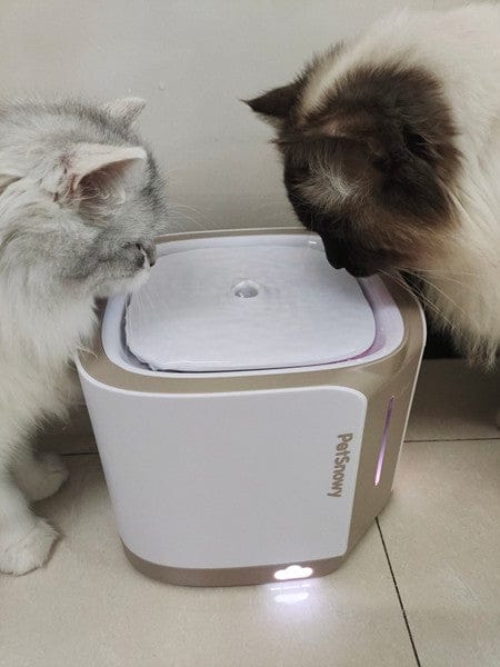 Customer photo review of Pet Water Fountain