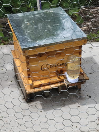 Customer photo review of BeeCastle Hives 10 Frame Wax Coat Complete Beehive Kit:2 Designed Deep Bee Boxes and 1 Super Medium Box,Includes Premium Wooden Frames and Beeswax-Plastic Foundation